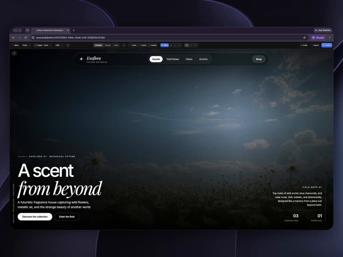 Cursor Spotlight Reveal