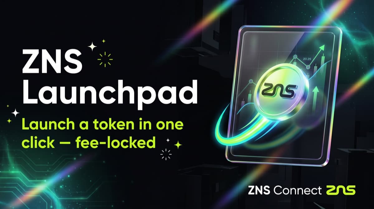 ZNS Launchpad