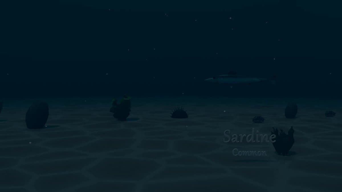 Submarine Creatures Showcase